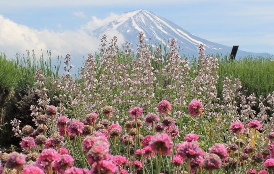 Hiking in Japan