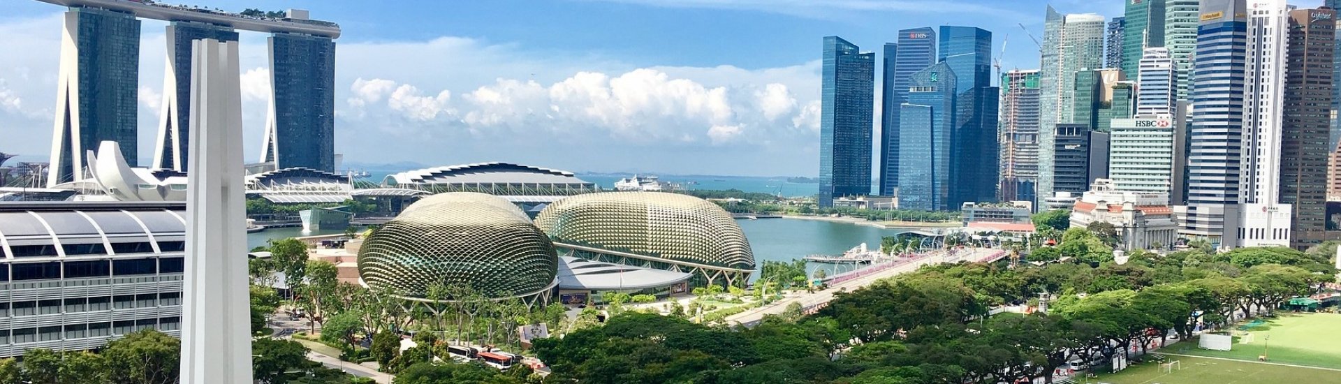 singapore tours for young adults